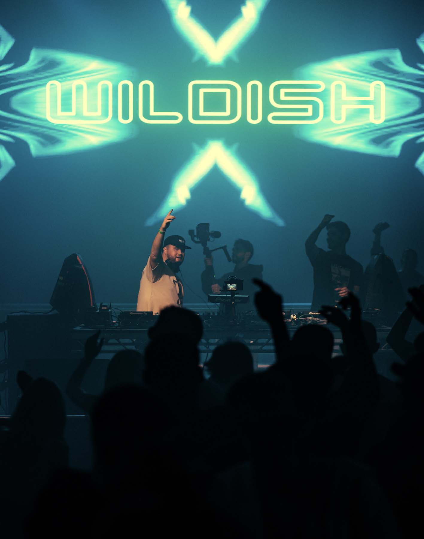 Live concert with a performer on stage and 'WILDISH' branding in the background